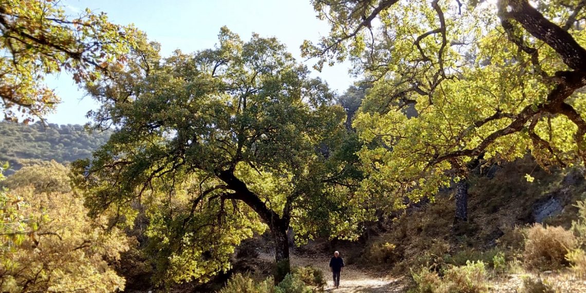 CortoSilvema analiza este jueves el fenómeno de la usurpación de los caminos públicos