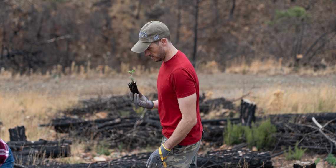 IKEA ORGANIZA TRES JORNADAS DE REFORESTACIÓN EN SIERRA BERMEJA