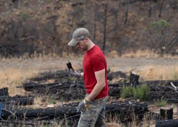 IKEA ORGANIZA TRES JORNADAS DE REFORESTACIÓN EN SIERRA BERMEJA