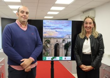 Ronda completa las actividades por el Día Mundial del Flamenco con una actuación en el Puente Nuevo y un flashmob, entre otras actividades