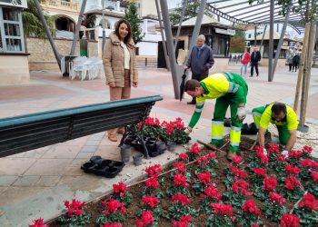 El Ayuntamiento invierte 12.000 euros en cambiar la decoración floral de varias zonas de la ciudad con especies típicas navideñas