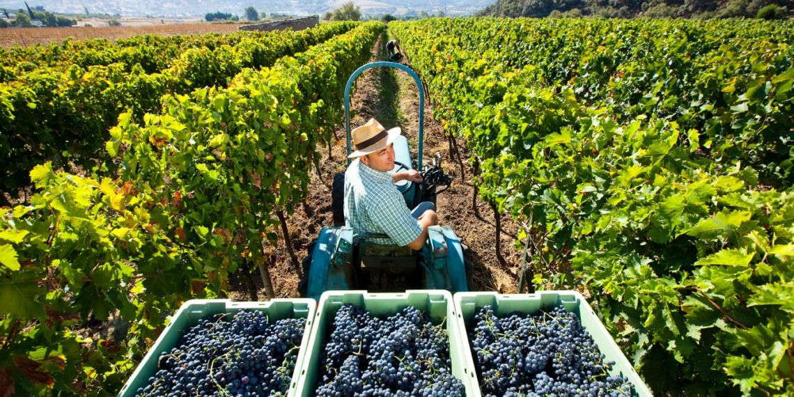 La Asociación Española de Geografía entregará este próximo 20 noviembre sus premios ‘Paisajes Serranos’