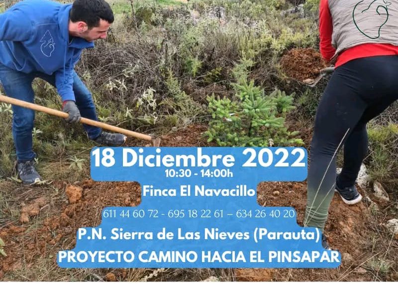 La Asociación Por los Caminos Públicos de la Serranía pone en marcha una actividad de voluntariado