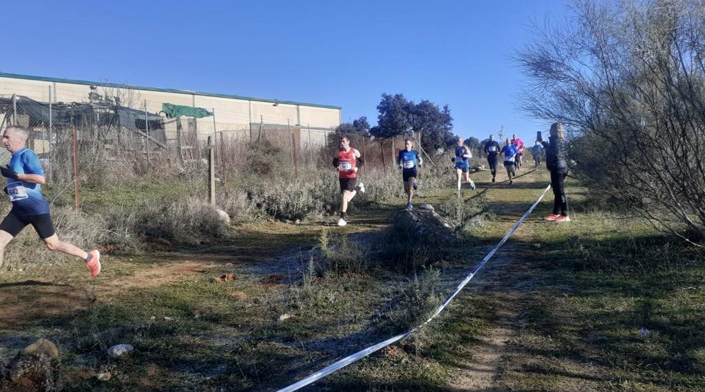 Deportes celebra la XIX edición del Cross Ciudad de Ronda