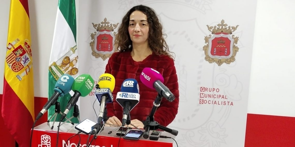 El PSOE acusa al Gobierno local y a la Junta de no tener una oposición firme a los parques fotovoltaicos en Ronda