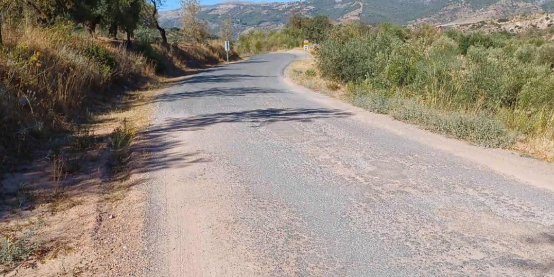 La Diputación adjudica por 981.000 euros el ensanche de un tramo de la carretera El Burgo-Casarabonela