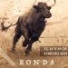 Ronda acogerá la V Bienal de Tauromaquia los días 17,18 y 19 de febrero