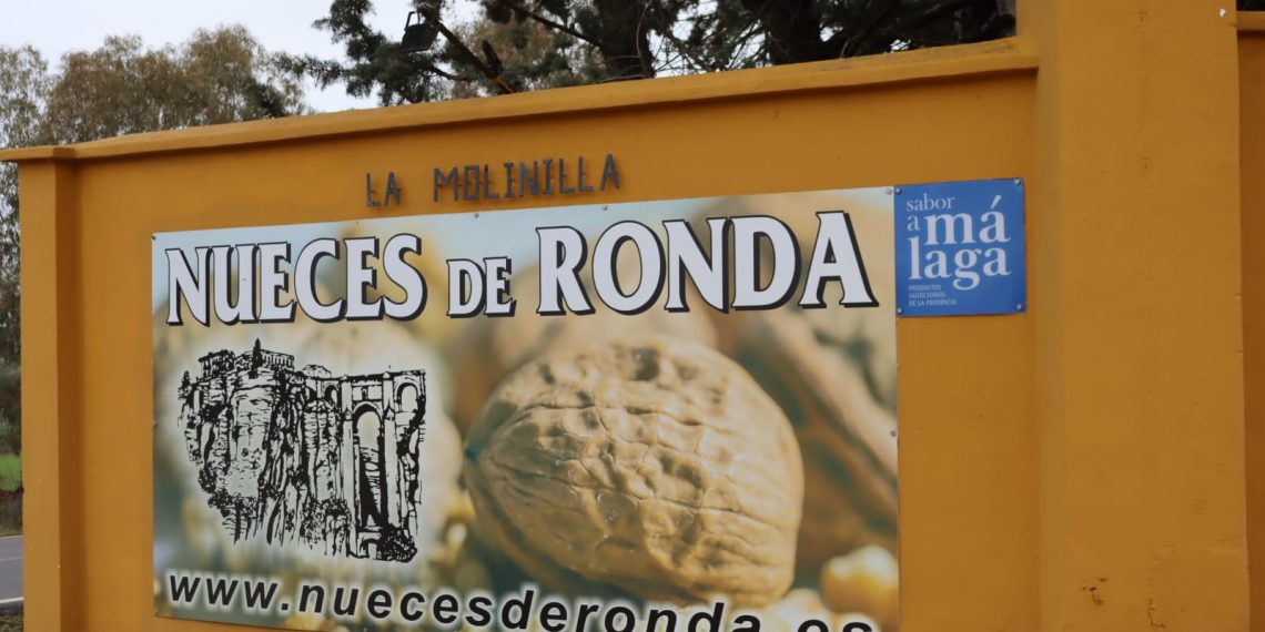 Nueces de Ronda vuelve a colaborar con Cruz Roja
