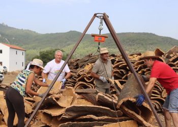 El Ayuntamiento ingresará 730.000 euros por la venta del corcho de los Montes de Propios de esta campaña