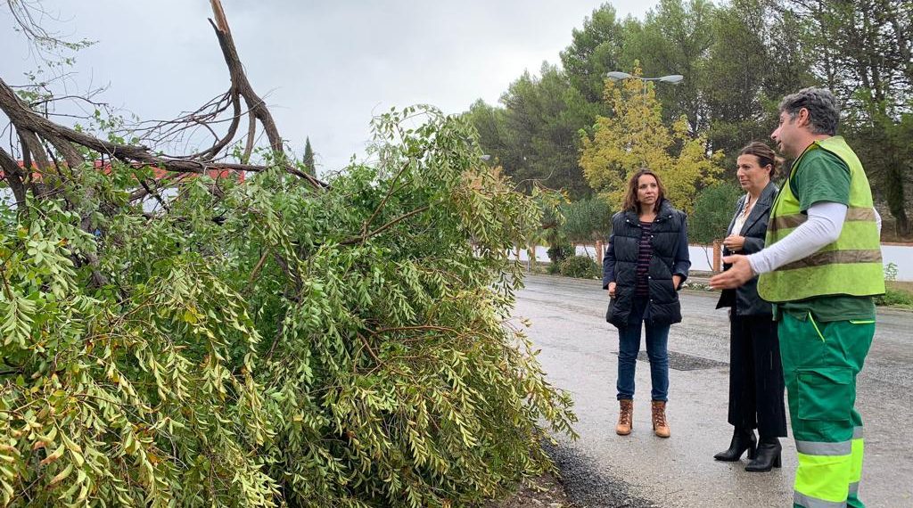 Más de medio centenar de operarios municipales trabajan para solventar los desperfectos que el temporal ha causado en Ronda