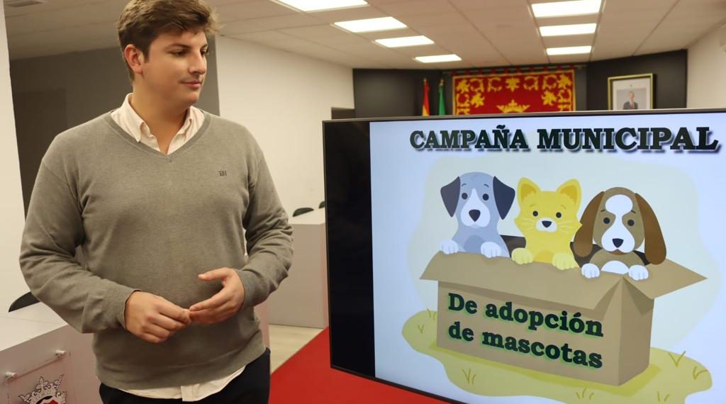 El Ayuntamiento crea una nueva herramienta digital para facilitar y agilizar la adopción de perros y gatos abandonados