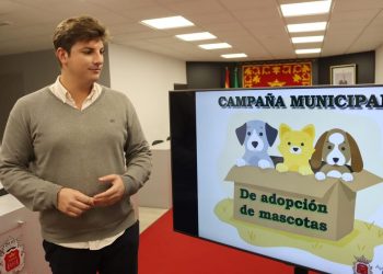 El Ayuntamiento crea una nueva herramienta digital para facilitar y agilizar la adopción de perros y gatos abandonados