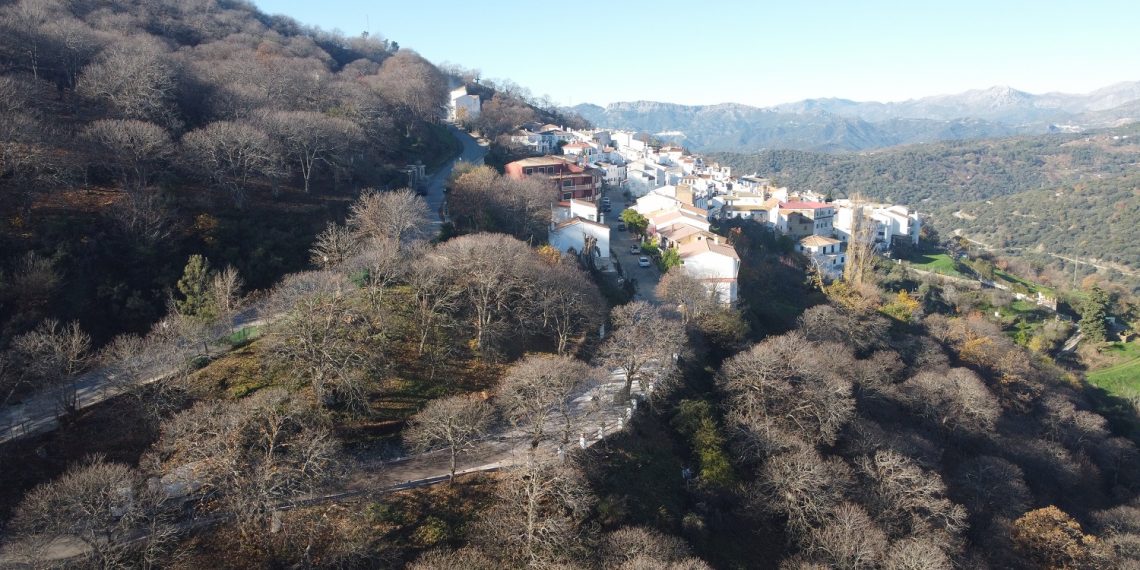 PUJERRA FINALIZA EL ACONDICIONAMIENTO DE LA ENTRADA AL MUNICIPIO