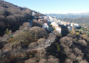 PUJERRA FINALIZA EL ACONDICIONAMIENTO DE LA ENTRADA AL MUNICIPIO