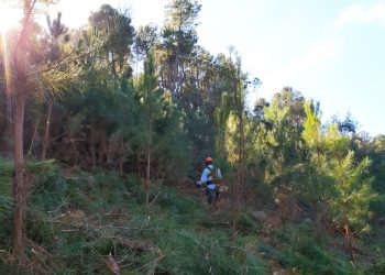 El Ayuntamiento incide en la gestión forestal sostenible en sus Montes de Propios