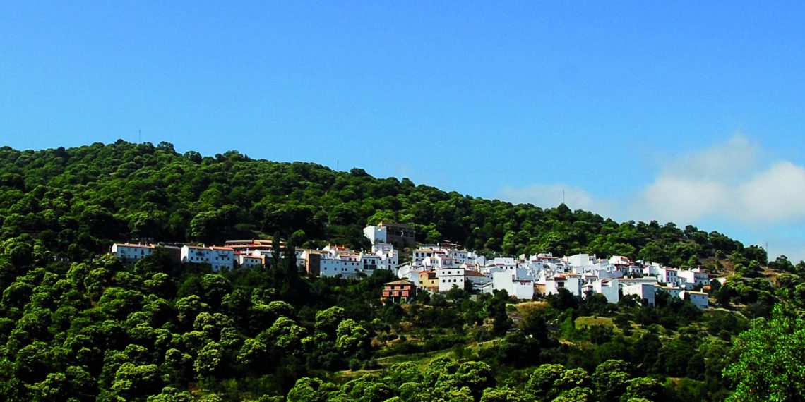 La Diputación invierte 1,6 millones de euros en mejoras hidráulicas en municipios afectados por el incendio de Sierra Bermeja