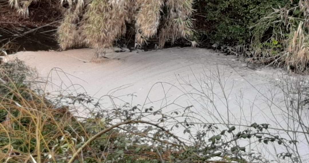 Silvema Serranía de Ronda-Ecologistas en Acción denuncia el vertido de aguas residuales industriales al cauce del río Guadiaro