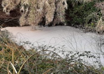 Silvema Serranía de Ronda-Ecologistas en Acción denuncia el vertido de aguas residuales industriales al cauce del río Guadiaro