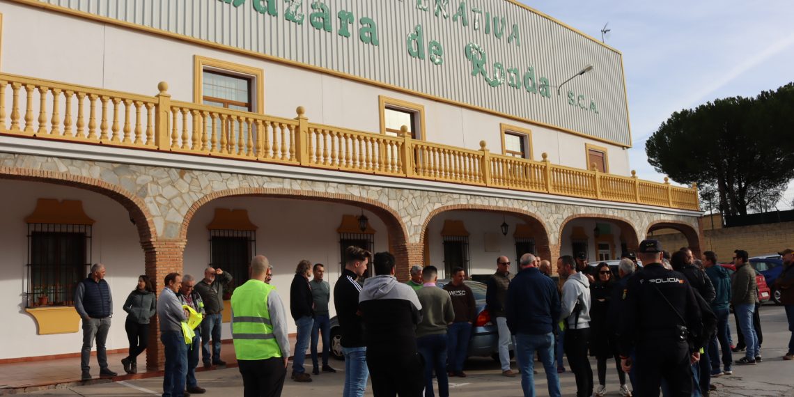 Los agricultores de Ronda dan plantón a las organizaciones agrarias