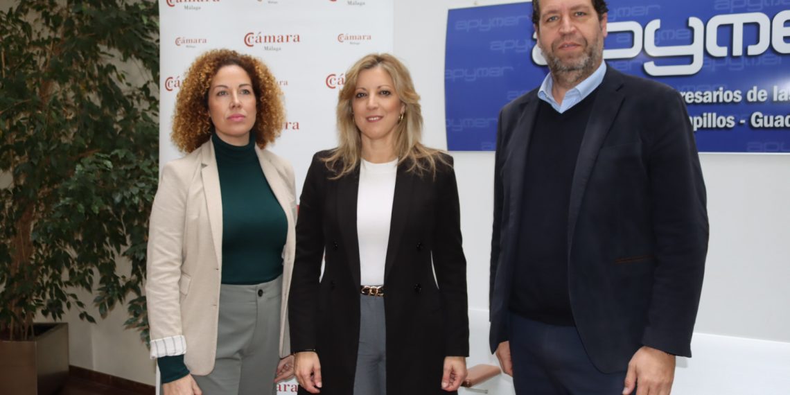 La Diputación colabora con la Cámara de Comercio de Málaga en asesorar a empresas en su internalización comercial