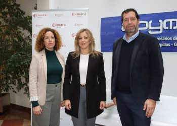 La Diputación colabora con la Cámara de Comercio de Málaga en asesorar a empresas en su internalización comercial