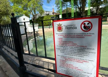 El Ayuntamiento denuncia actos vandálicos contra los patos que vivían desde hace años en el estanque de La Alameda del Tajo