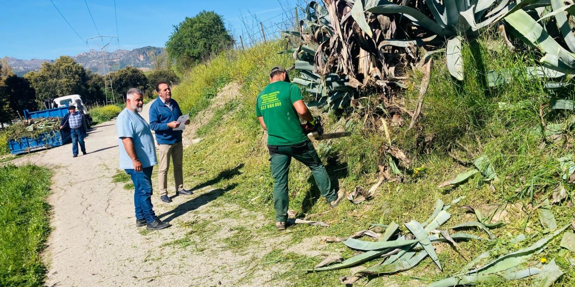 El Ayuntamiento avanza en las labores de desbroce de los caminos de las pedanías