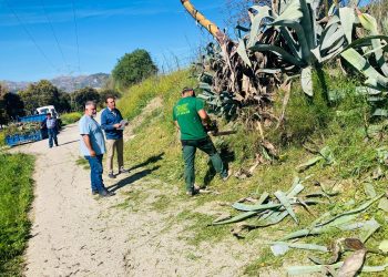 El Ayuntamiento avanza en las labores de desbroce de los caminos de las pedanías