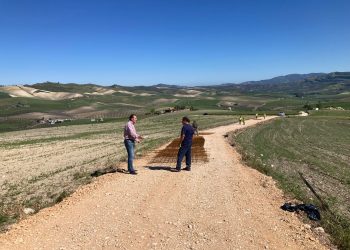 El Ayuntamiento avanza en la mejora de los caminos rurales con el hormigonado del vial de La Jiscana en Los Villalones