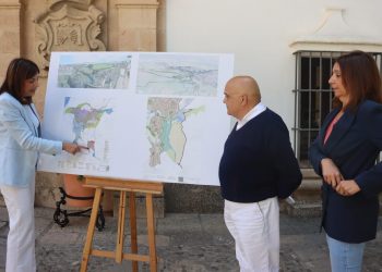 El Ayuntamiento lleva al pleno la innovación con el proyecto definitivo del Vial Alternativo