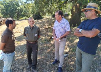 El Ayuntamiento estima obtener 500.000 euros este año de la producción y venta del corcho de los Montes de Propios