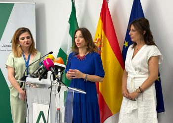 La Junta pide al Gobierno de España colaboración para seguir reforzando el Servicio Andaluz de Salud