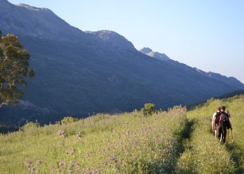 La Diputación adjudica por 664.000 euros el mantenimiento de 553 kilómetros de senderos de gran recorrido