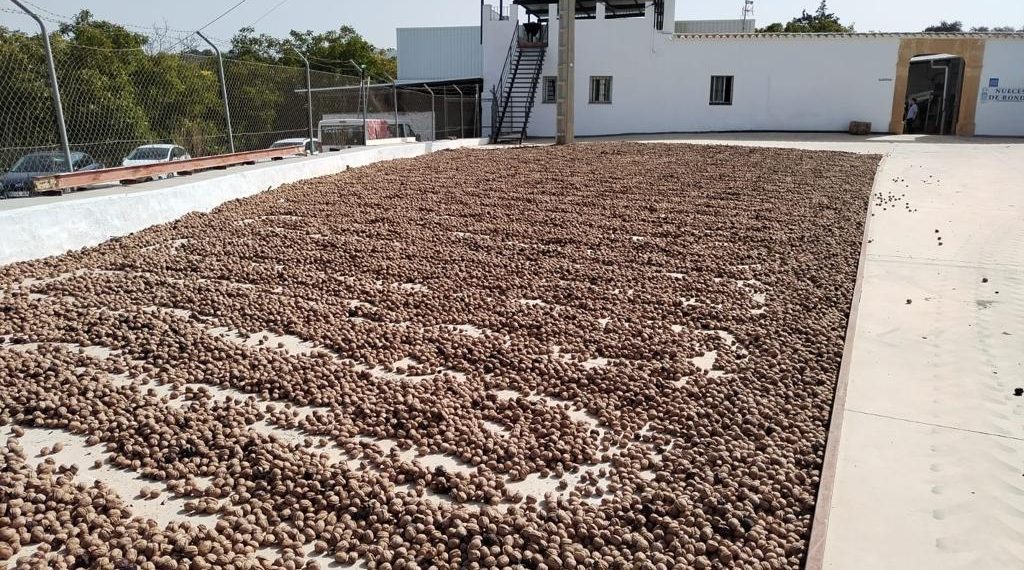 El pleno da luz verde a dos proyectos de ampliación de destacadas empresas agroalimentarias en Ronda