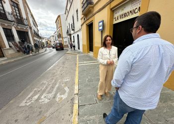 El Ayuntamiento va a poner en marcha un nuevo proyecto de embellecimiento y mejora de las zonas verdes a lo largo de la calle Armiñán