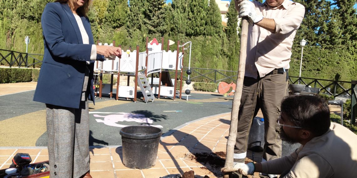 Parques y Jardines pone en marcha una campaña para aumentar la arboleda urbana