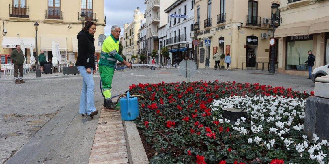 El Ayuntamiento complementa la decoración navideña plantando 5.000 flores de temporada