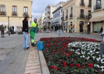 El Ayuntamiento complementa la decoración navideña plantando 5.000 flores de temporada