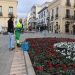 El Ayuntamiento complementa la decoración navideña plantando 5.000 flores de temporada