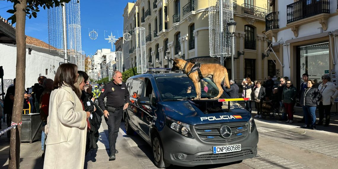 Casi 300 estudiantes de Primaria participan en los actos con los que el Ayuntamiento ha celebrado el Día de la Constitución