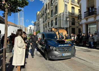 Casi 300 estudiantes de Primaria participan en los actos con los que el Ayuntamiento ha celebrado el Día de la Constitución