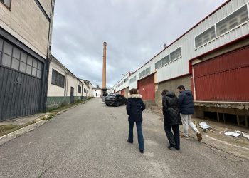 El Ayuntamiento ultima el proyecto para la conversión del Mercado de Mayoristas en un aparcamiento en superficie