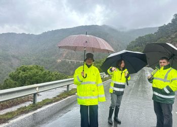 La Junta estabilizará la ladera y construirá un nuevo puente para abrir al tráfico la carretera A-397  