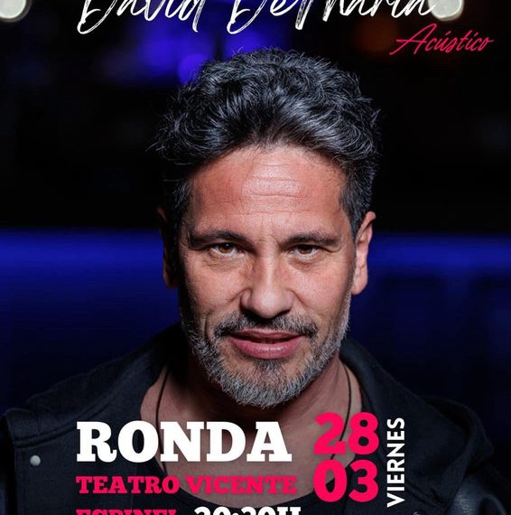 David DeMaría en concierto