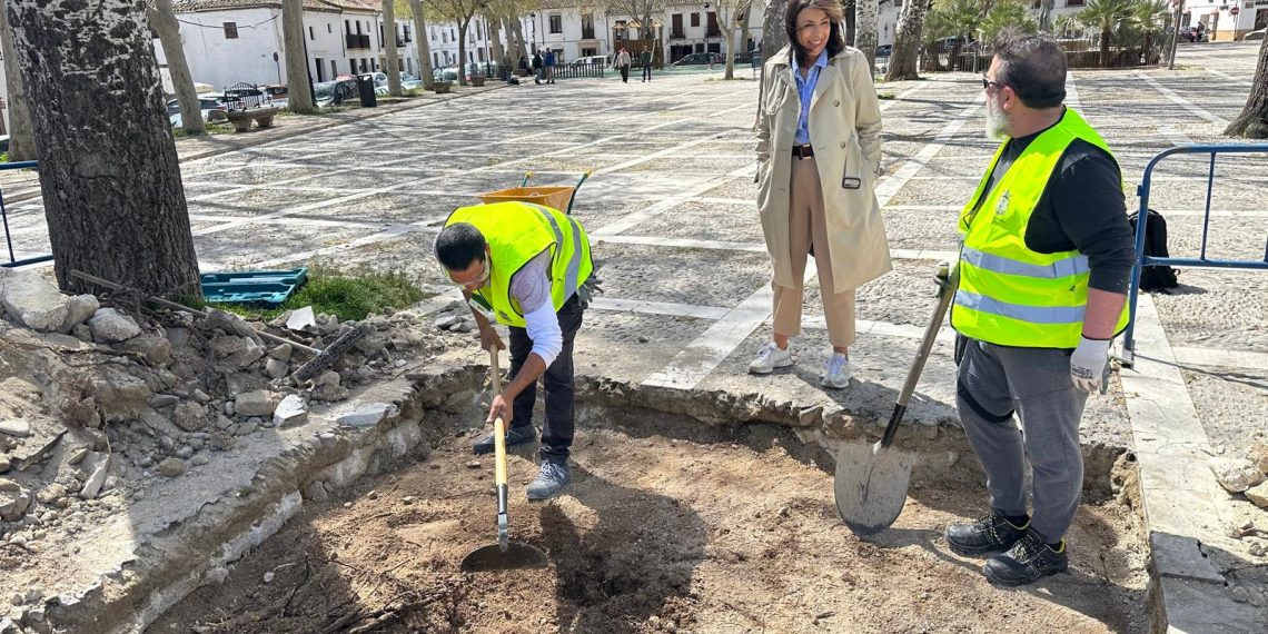 Comienzan  las  catas  arqueológicas  previas  a  la remodelación integral de la plaza Ruedo Alameda