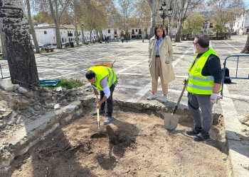 Comienzan  las  catas  arqueológicas  previas  a  la remodelación integral de la plaza Ruedo Alameda