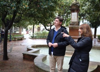 El Ayuntamiento licita por 3,5 millones de euros el mantenimiento de las zonas verdes, parques infantiles y espacios biosaludables