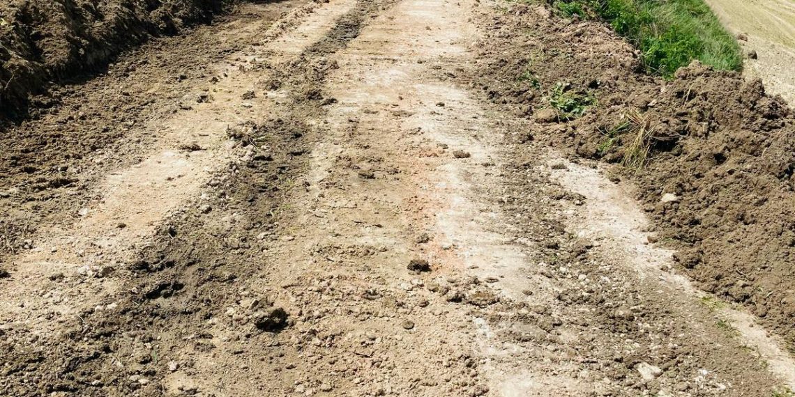 El Ayuntamiento abrirá el camino Ronda-Montecorto para que los agricultores y ganaderos puedan acceder a sus explotaciones