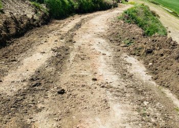 El Ayuntamiento abrirá el camino Ronda-Montecorto para que los agricultores y ganaderos puedan acceder a sus explotaciones