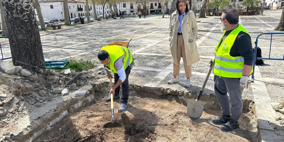 Finalizan las catas arqueológicas en Ruedo Alameda, previas a su remodelación integral